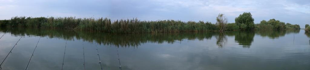 Prin Delta Dunarii - GEDC0137.JPG